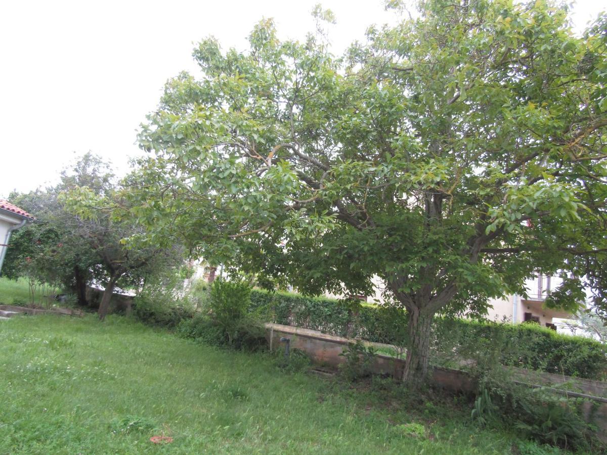 רוביני Green Gardens 2 מראה חיצוני תמונה