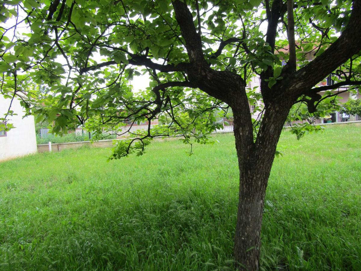 רוביני Green Gardens 2 מראה חיצוני תמונה