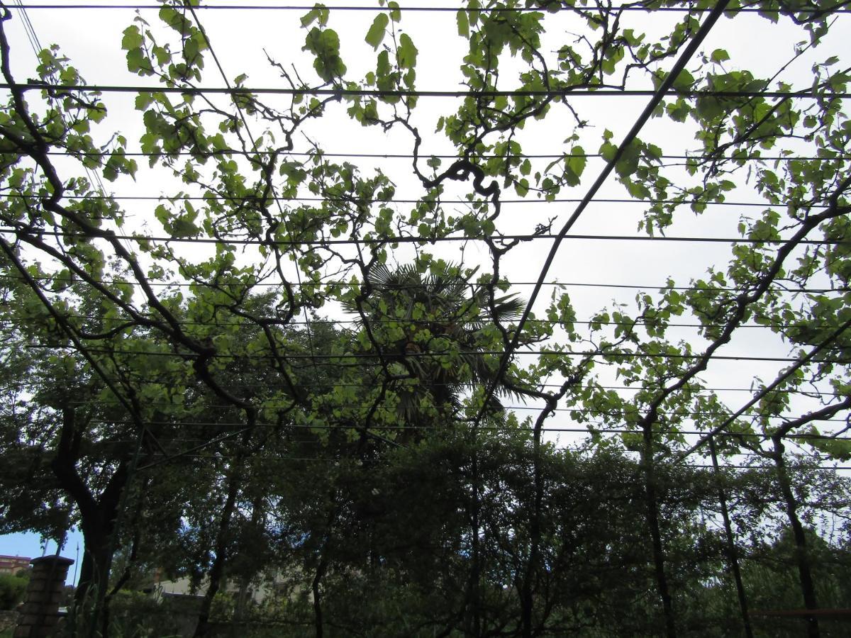 רוביני Green Gardens 2 מראה חיצוני תמונה
